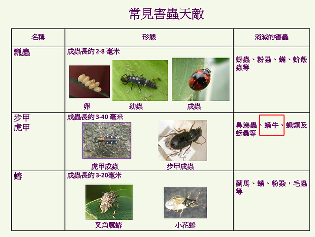 向蜗牛撒盐致其死亡，香港博士生涉虐杀动物被捕（组图） - 9