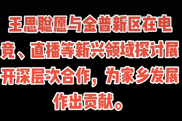 王思聪不搞美女搞事业，穿裤衩与市委领导会面，曾投资失败亏20亿（组图） - 3