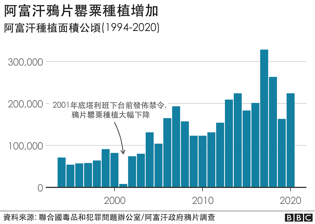 罂粟种植