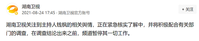 湖南卫视“翻车”的6位主持人，有人婚内出轨，有人被曝性侵（组图） - 18