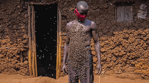 卢旺达“蜂王”因蜜蜂蔽体走红，30多年从未被蛰，网友：密集恐惧（组图） - 4