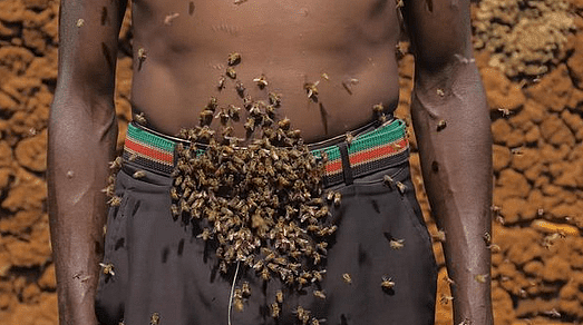 卢旺达“蜂王”因蜜蜂蔽体走红，30多年从未被蛰，网友：密集恐惧（组图） - 3
