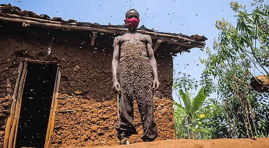 卢旺达“蜂王”因蜜蜂蔽体走红，30多年从未被蛰，网友：密集恐惧（组图） - 5