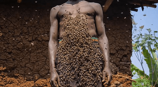 卢旺达“蜂王”因蜜蜂蔽体走红，30多年从未被蛰，网友：密集恐惧（组图） - 6