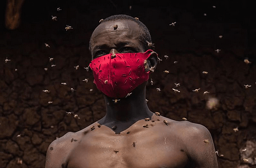 卢旺达“蜂王”因蜜蜂蔽体走红，30多年从未被蛰，网友：密集恐惧（组图） - 1