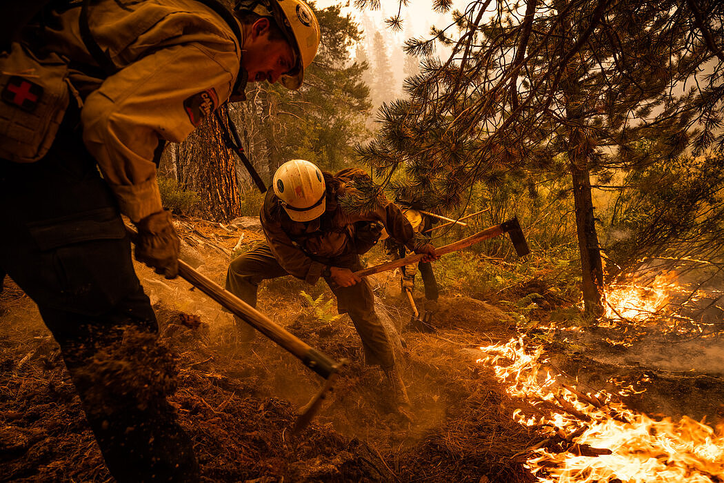 卡尔多大火已经烧过了超过19万英亩，只有16%的火势得到了控制。