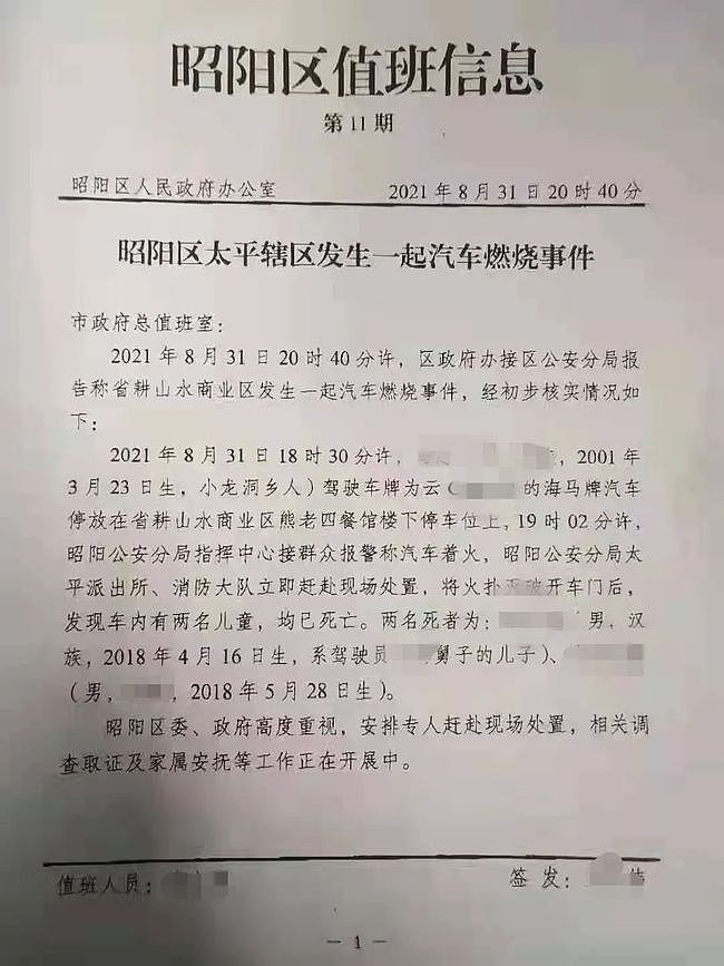 轿车突然起火，父亲怎么都打不开门，两名幼儿遇难，目击者还原残忍一幕（视频/组图） - 4