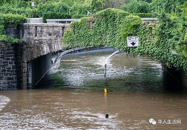 美国遭遇罕见暴雨！机场瘫痪，地铁停运，86岁华人遇难，多人在地下室淹死（组图） - 27