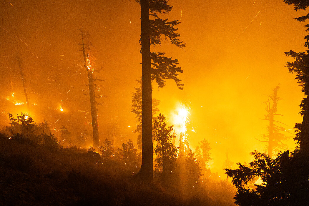 气候变化造成破坏的迹象包括美国西部的火灾。