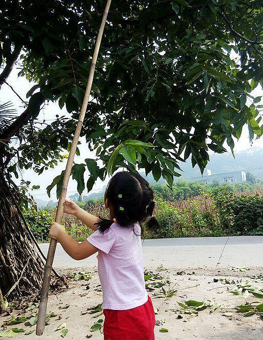 因为核桃，他住进了ICU，她摘掉了眼球，她失去了孩子！（组图） - 2