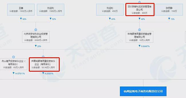 雪梨发家史：阿里赏识、思聪没落、张大奕出局（图） - 27