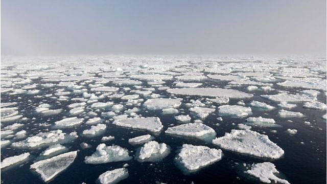 北极海冰