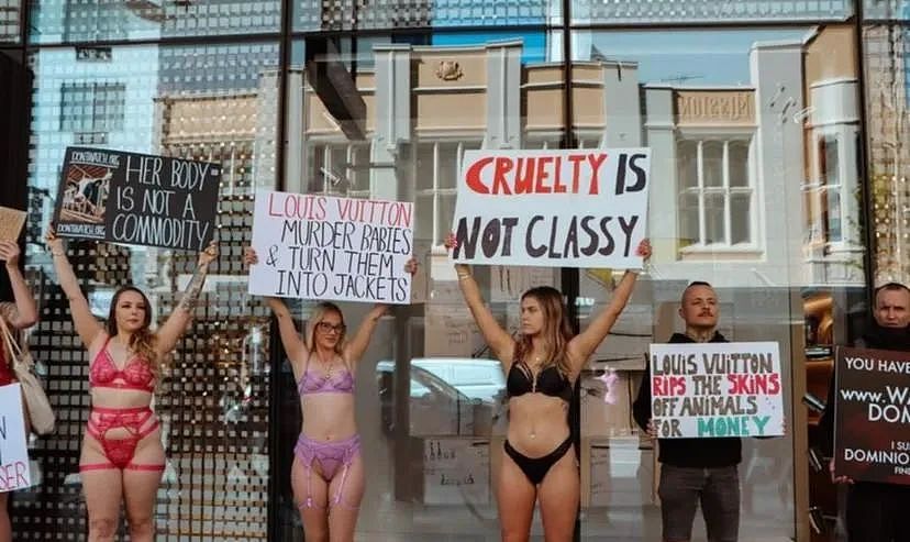 珀斯激进分子仅穿内衣举行第三次“反对虐待动物”抗议活动（图/视频） - 4