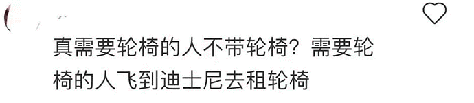 手脚正常的年轻人租轮椅逛上海迪士尼，有错吗？这次网友真吵翻了！（组图） - 13