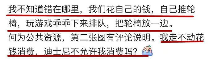 手脚正常的年轻人租轮椅逛上海迪士尼，有错吗？这次网友真吵翻了！（组图） - 16