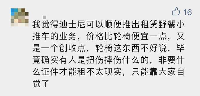 手脚正常的年轻人租轮椅逛上海迪士尼，有错吗？这次网友真吵翻了！（组图） - 20