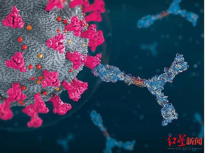 中国首个mRNA新冠疫苗生产车间，预计下月投产，具备这三大优势（组图） - 6