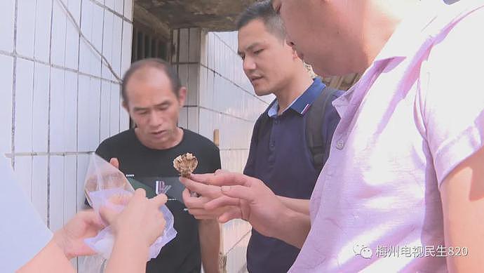 广东祖孙3人吃野生菇身亡，2只猫喝剩下的汤也被毒死，长这样的菌菇千万别碰！（组图） - 8