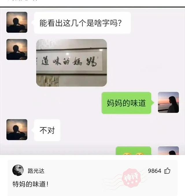 【爆笑】阿姨，地铁上可是公共场所啊，这样不尴尬吗？咱能回家再看吗？（组图） - 13