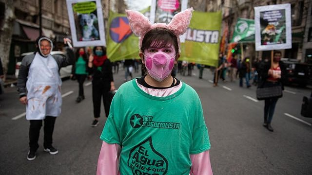 阿根廷多个城市去年曾爆发反对与中国签订猪肉生产协议的抗议。