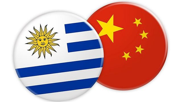 乌拉圭与中国国旗按钮图案