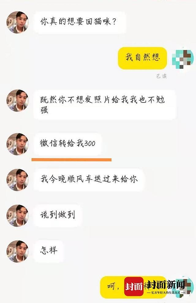 男子收养猫咪后向主人索要裸照和钱 遭拒后将猫虐杀（组图） - 2