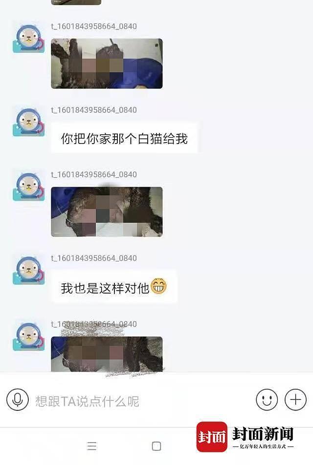 男子收养猫咪后向主人索要裸照和钱 遭拒后将猫虐杀（组图） - 3