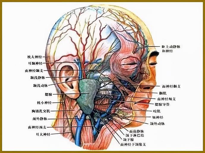 做了颧骨内推的明星真的变美了吗？推平容易后悔难，后遗症竟然一大堆！（组图） - 32