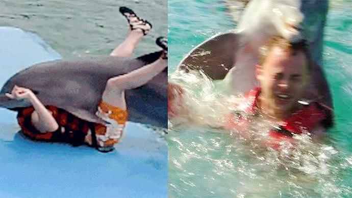 年轻女子与海豚发生性关系！当他们关系结束分手时，海豚沉入水底“自杀”（视频/组图） - 9