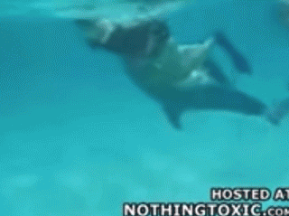 年轻女子与海豚发生性关系！当他们关系结束分手时，海豚沉入水底“自杀”（视频/组图） - 13