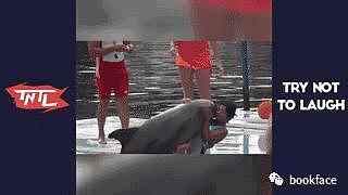 年轻女子与海豚发生性关系！当他们关系结束分手时，海豚沉入水底“自杀”（视频/组图） - 15
