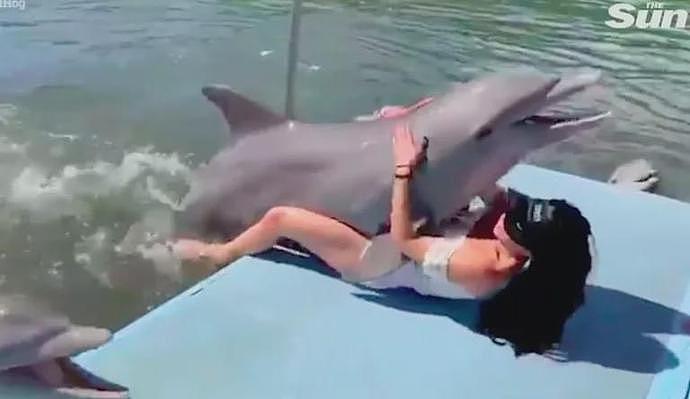 年轻女子与海豚发生性关系！当他们关系结束分手时，海豚沉入水底“自杀”（视频/组图） - 19