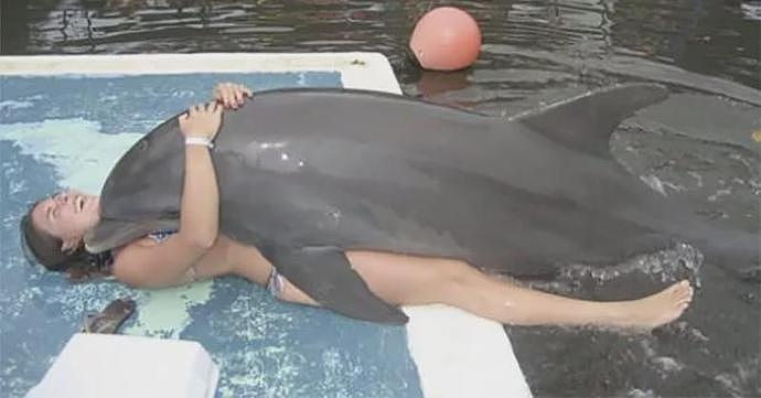 年轻女子与海豚发生性关系！当他们关系结束分手时，海豚沉入水底“自杀”（视频/组图） - 20