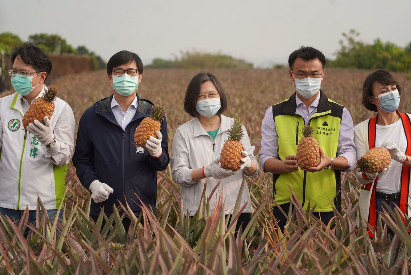 在大陆宣布暂停进口台湾菠萝后，2021年2月28日，蔡英文南下高雄力挺农民。蔡英文强调，台湾政府会打开凤梨行销通路，让世界知道台湾人不仅会做芯片，也会种好吃的凤梨。（中央社）