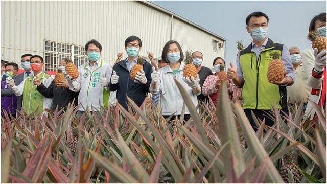 蔡英文到高雄凤梨田推销凤梨