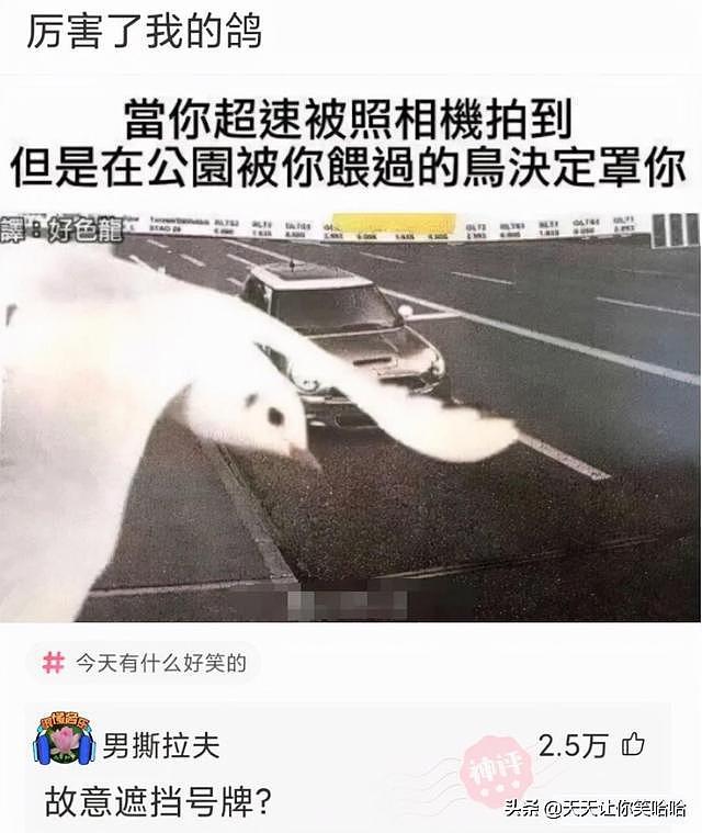 【爆笑】女友家的亲戚去世了，我好心随礼，为什么却被拉黑了？（组图） - 10