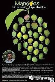 印度农民种出神奇芒果，看着像苹果吃着像香蕉…还有孜然口味（组图） - 2