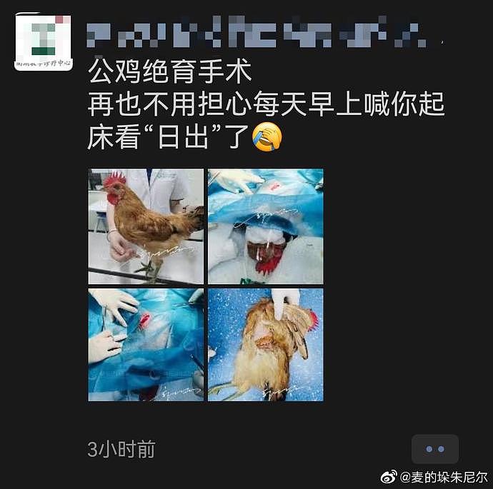 【爆笑】连电梯都轮休，为什么人每天都要上班，哈哈哈差点笑出猪叫（组图） - 3