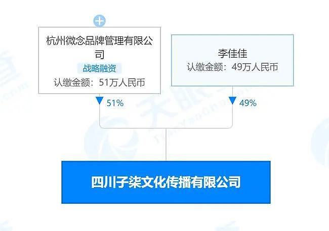 最惨打工人：李子柒刚想站起来 就被资本打失踪（组图） - 4