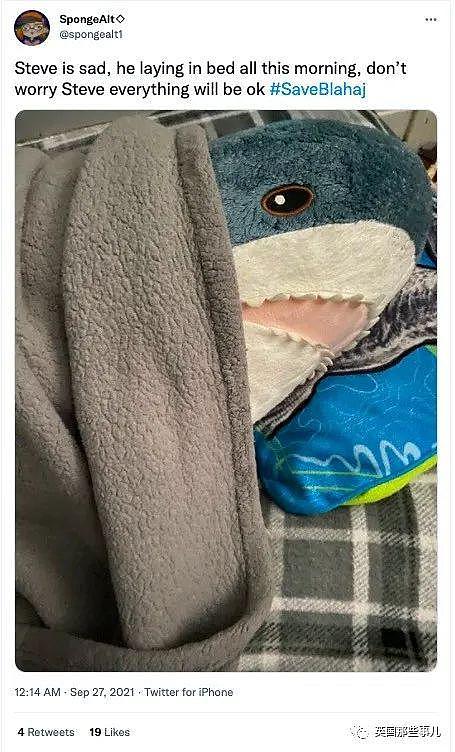 英国宜家鲨鱼抱枕下架还面临停产！网友哀嚎一片:“救救鲨鲨吧”（组图） - 16