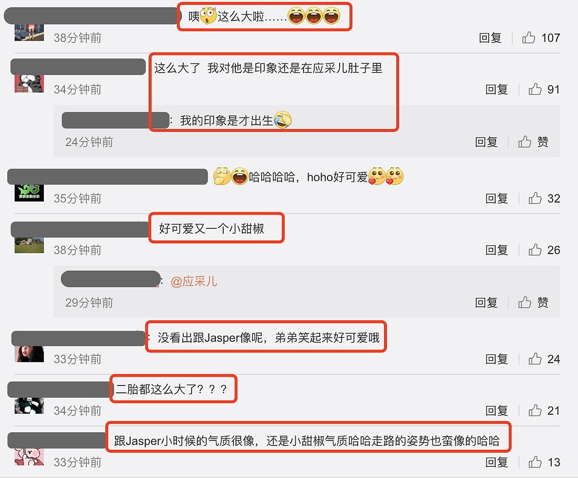 应采儿罕晒次子视频，HoHo举着红旗一路小跑，露小乳牙萌态尽显（组图） - 13