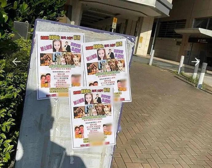 32岁香港艳星陈静仪因欠亿元债务被张贴海报，曾涉嫌跨国卖淫（组图） - 3