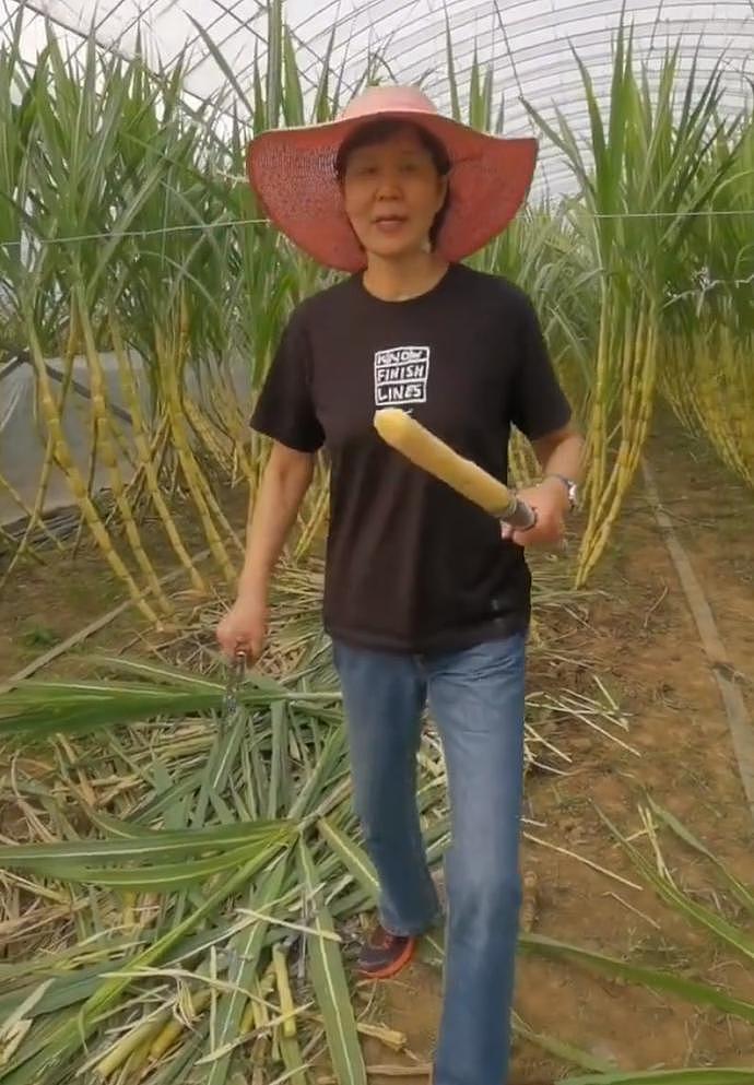 退休后34天，郎平首次晒最新动态，休闲装+遮阳帽，在农场削甘蔗（组图） - 3