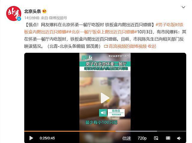 网曝在北京一餐厅吃饭 铁板盒内爬出百只蟑螂（视频/组图） - 3