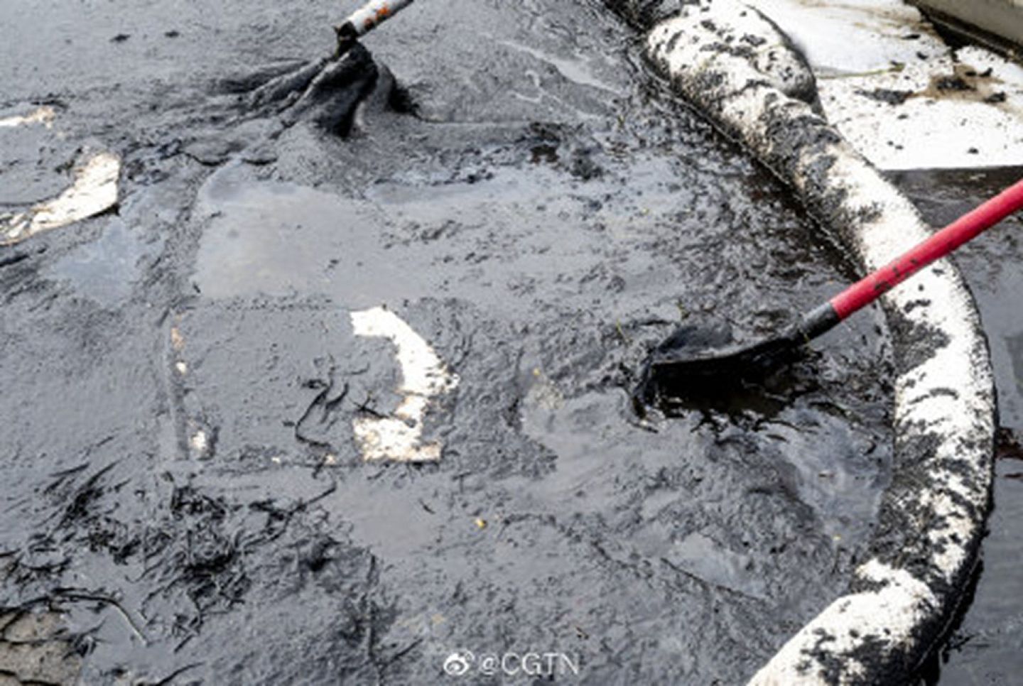 美国加州此次原油泄漏量可能多达54.5万升。（微博@CGTN）