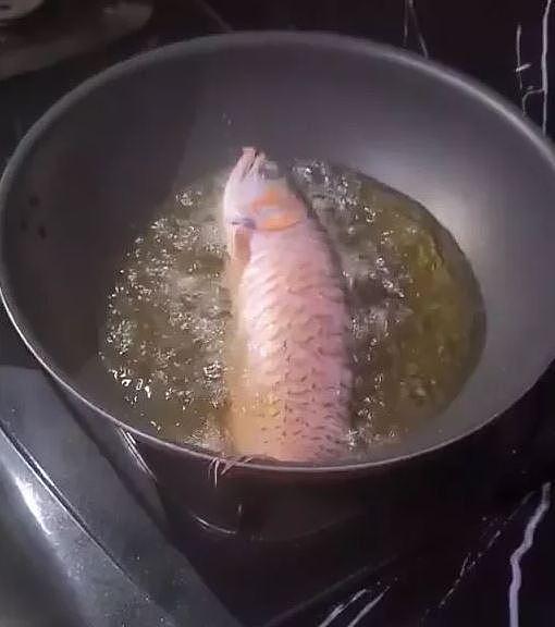 丈夫始终不清理鱼缸，让妻子好心累，心一狠决定料理鱼缸中的名贵红龙，放入油锅中油炸...