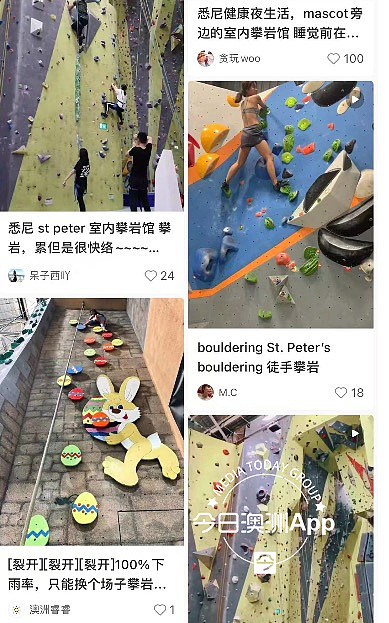 悉尼网红攀岩馆突发惨剧，男子坠落13米身亡！曾是华人热衷打卡地（组图） - 5