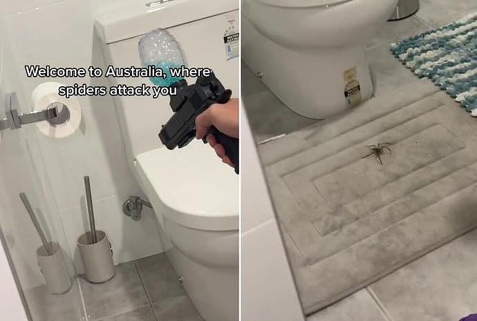 澳洲居民家中出现巨大猎人蜘蛛，男子用玩具手枪射击（视频/组图） - 1