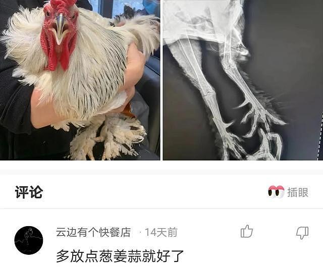 【爆笑】为什么有人说护士不能娶？上夜班不是很正常吗？哈哈哈这也太搞笑了（组图） - 13