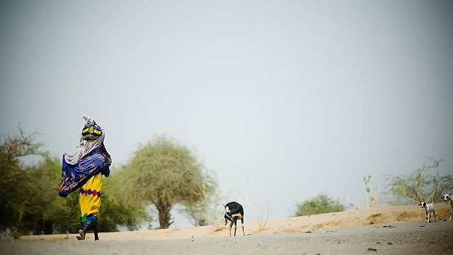 2007年，一名妇女在乍得湖边